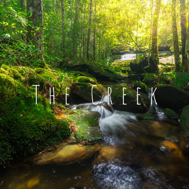 The Creek - Single