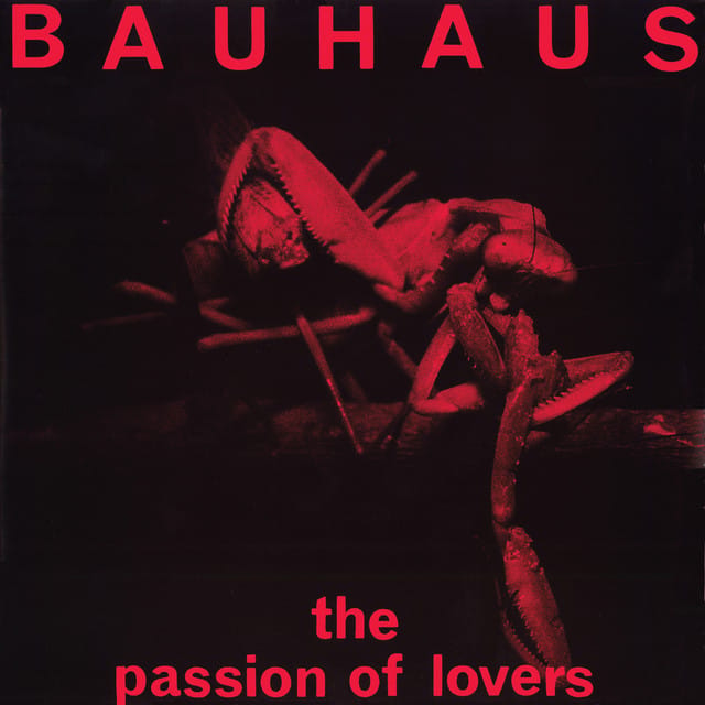 The Passion of Lovers