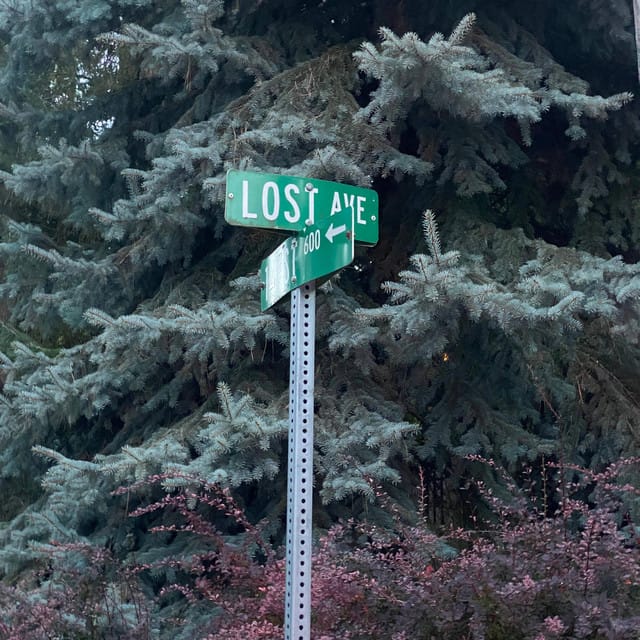 (if I) Runaway
