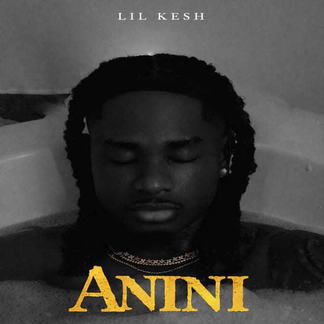 Anini (Thief)