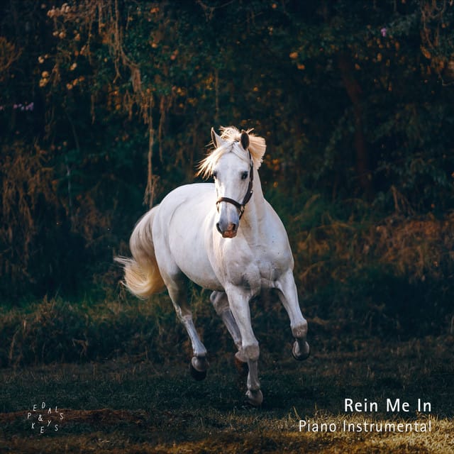 Rein Me In (Piano Instrumental)