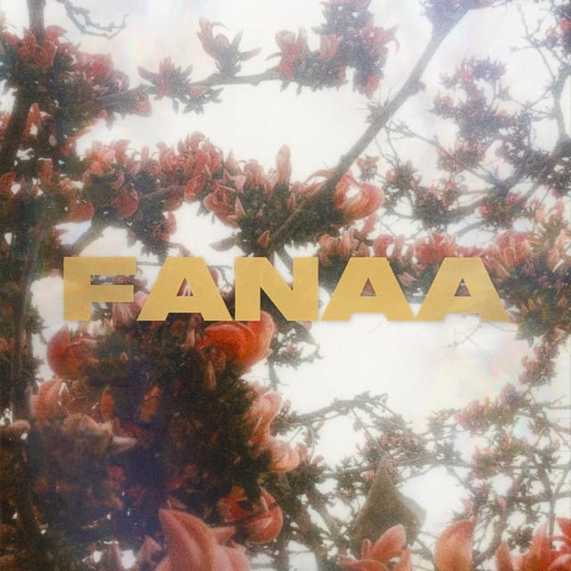 fanaa - Single