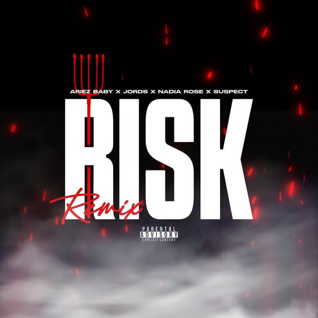 Risk (Remix)