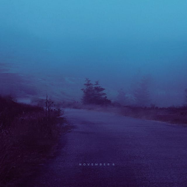 november 8