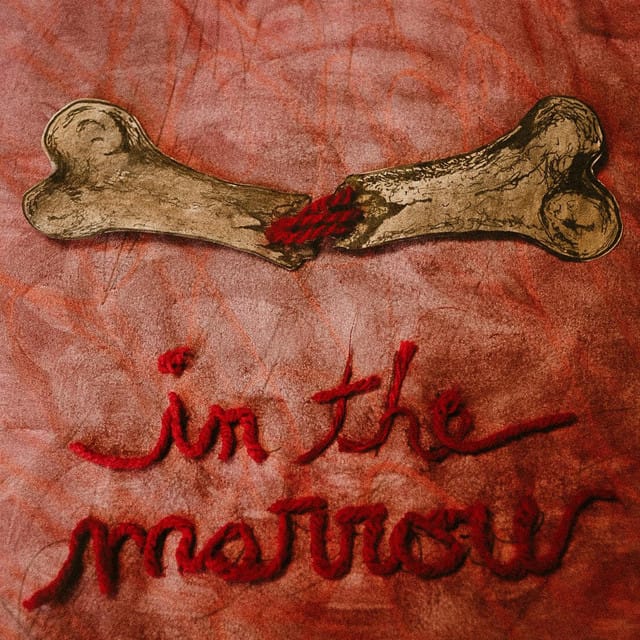 in the marrow