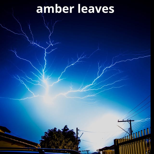 amber leaves