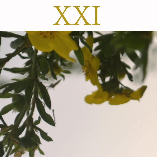 XXI - EP