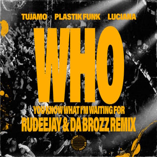 WHO (You Know What I'm Waiting For) [Rudeejay & Da Brozz Remix]