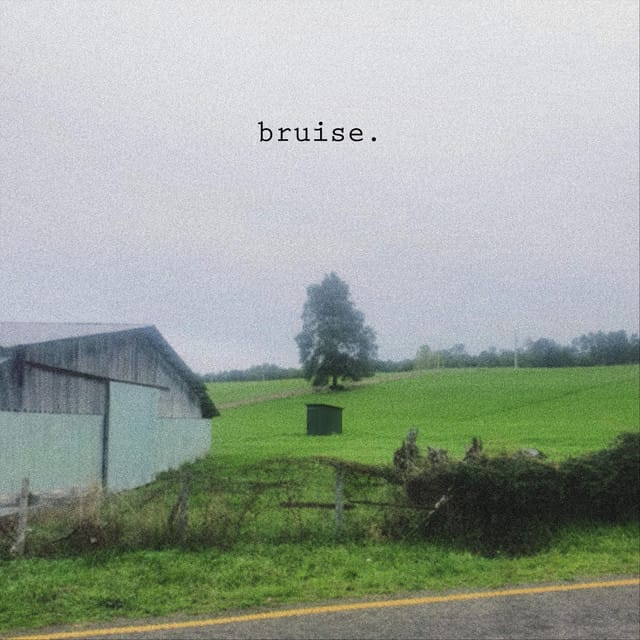 bruise