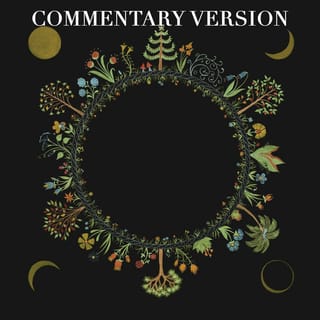 Wheel (Commentary Version)