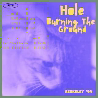 Burning The Ground (Live Berkeley '94)