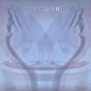 The Moth (Remixes)