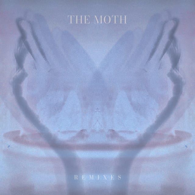 The Moth (Remixes)