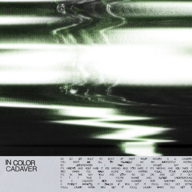 Cadaver