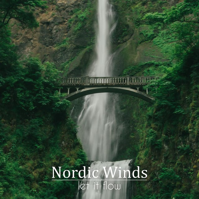 Let It Flow - Single