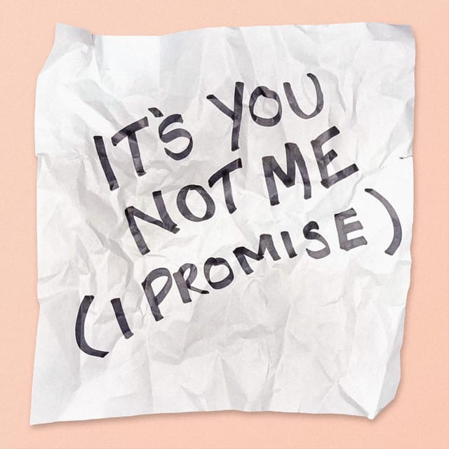 It's You, Not Me (I Promise) - Single