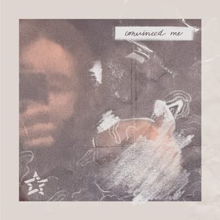 Convinced Me - Single