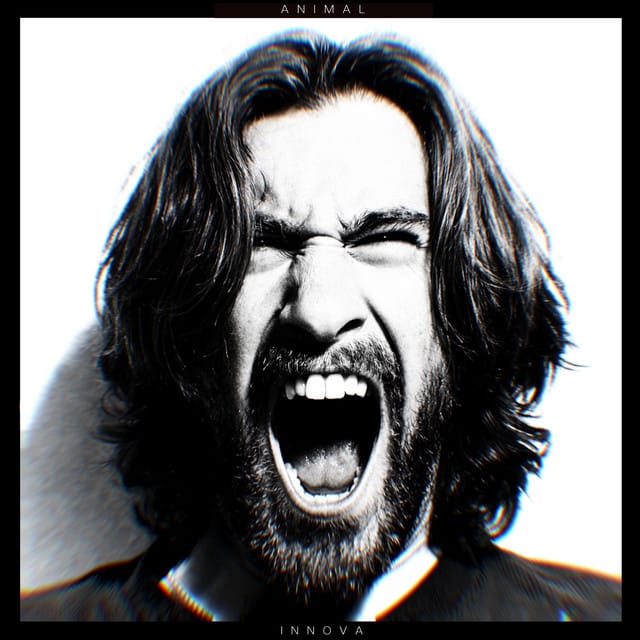 Animal - Single