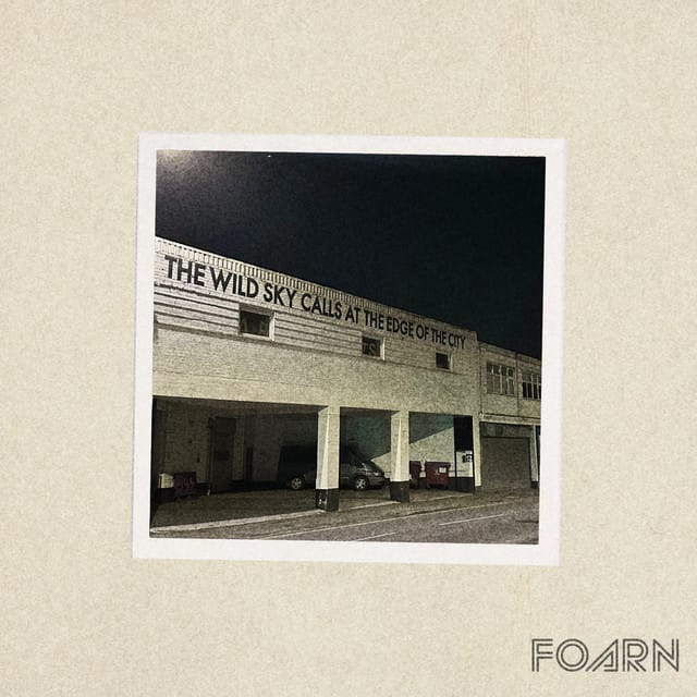 Wild Skies - Single