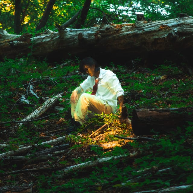 Sequoia - Single