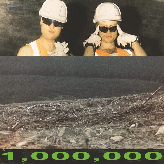 1 MILLION PINES