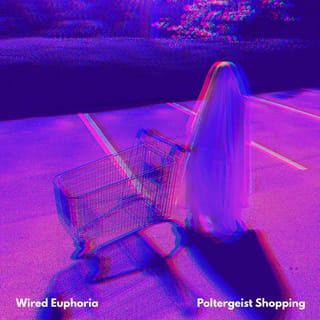Poltergeist Shopping