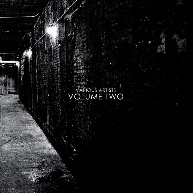 The Many Shades Of Soul Notes, Volume Twoerror