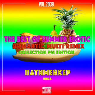 The Best of Summer Erotic Romantic Multi Remix Collection Pm Edition, Vol. 2039
