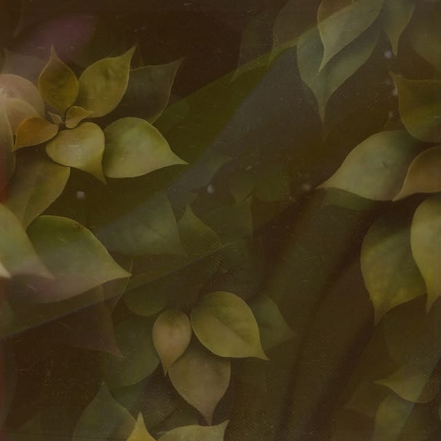 dreaming - Single