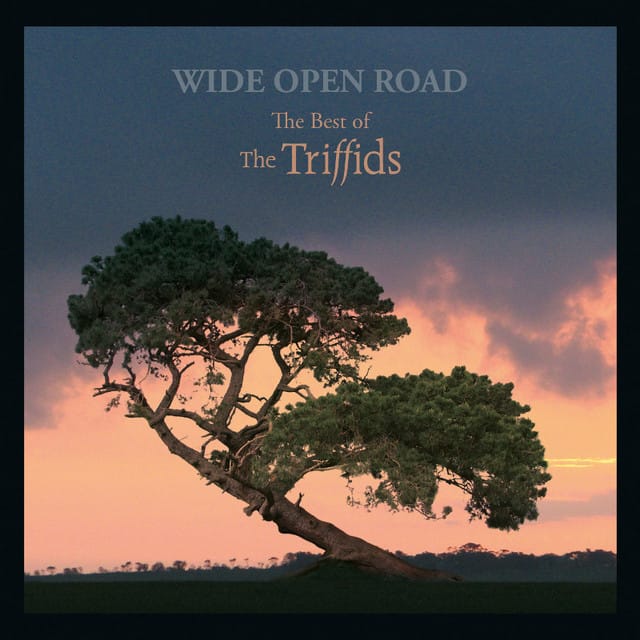 Wide Open Road - The Best of the Triffids