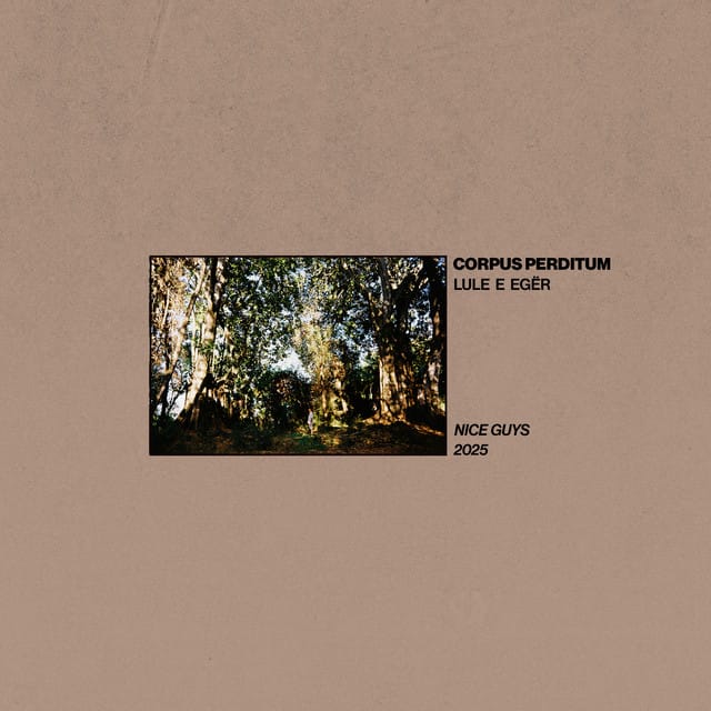 Lule e Egër - Single