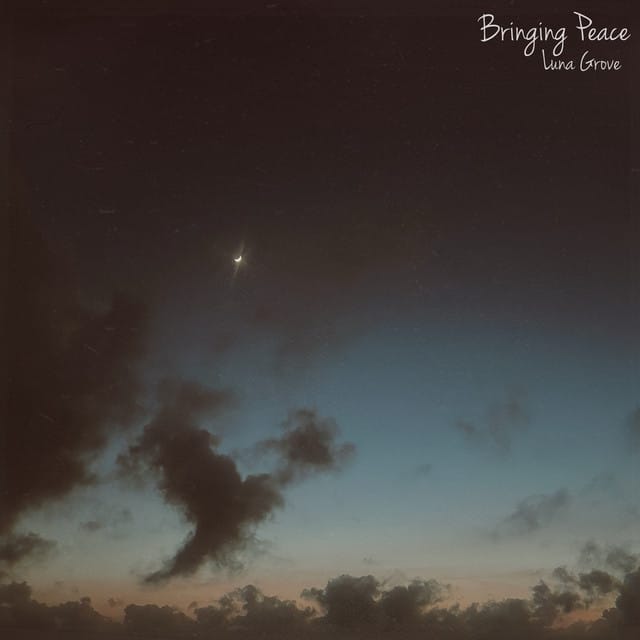 Bringing Peace - Single