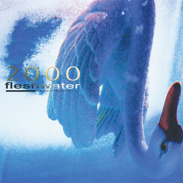 2000: In Search Of The Endless Sky