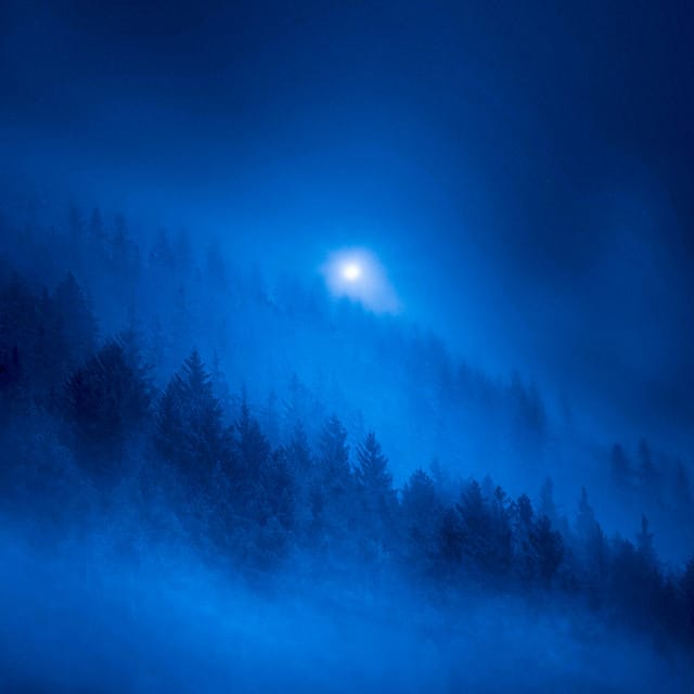 As the Light Fades - Single