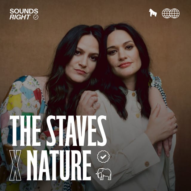 Make a Decision - Vorsen Remix (feat. NATURE)