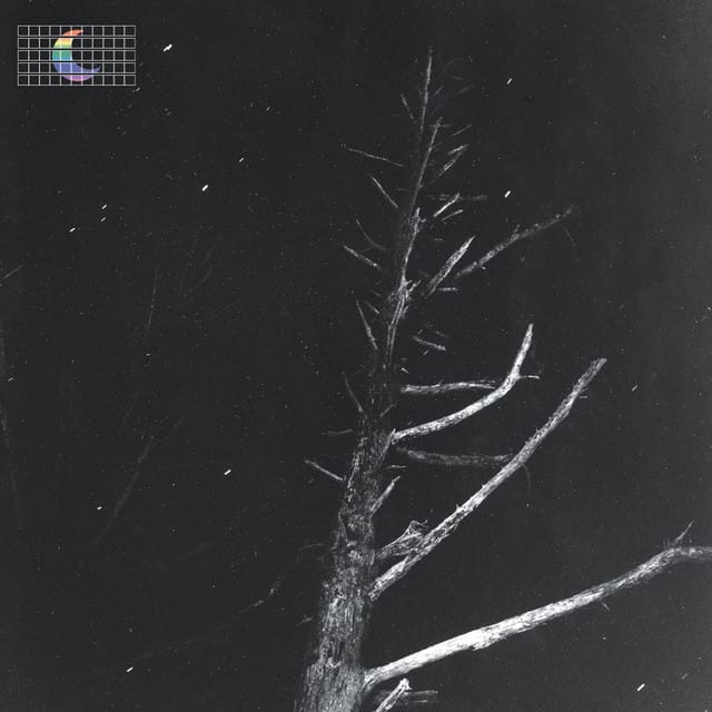 (Colours of the Night) Satellite
