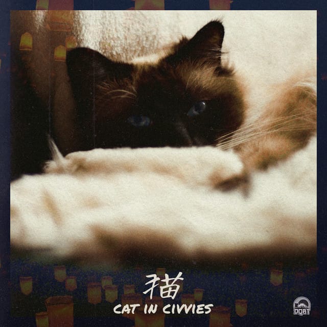 cat in civvies