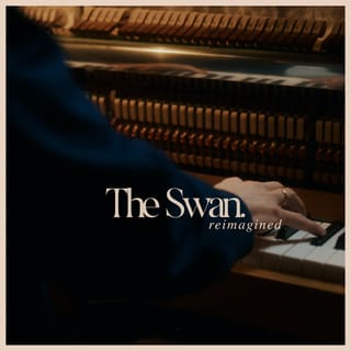 The Swan - Reimagined