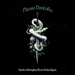 Please Don’t Go (feat. YoungBoy Never Broke Again)
