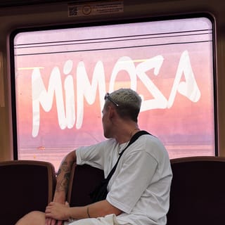 Mimosa