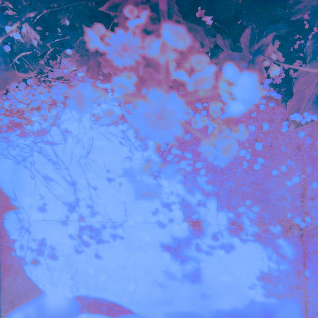 Burst