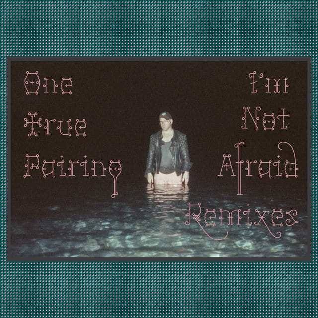 I'm Not Afraid (Remixes)
