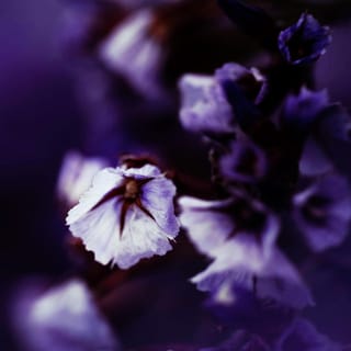 Beautiful Piano Covers