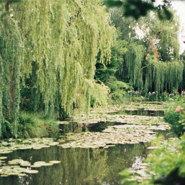 Willow (Instrumental) - Single