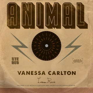 Animal