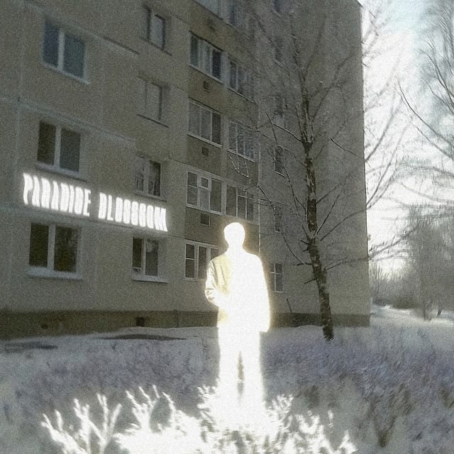 Paradise Blossom - Single