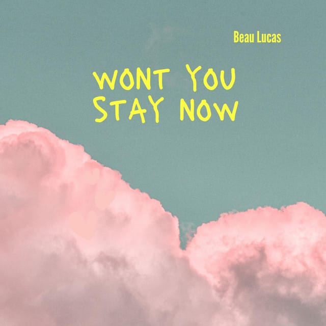 wont you stay now - Single
