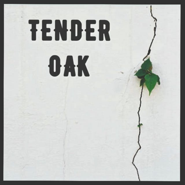 Tender Oak - Single