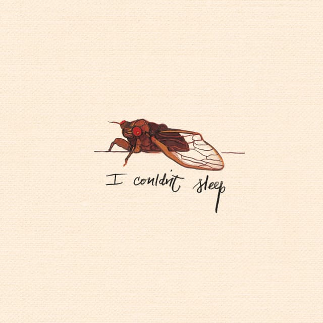 I Couldn't Sleep
