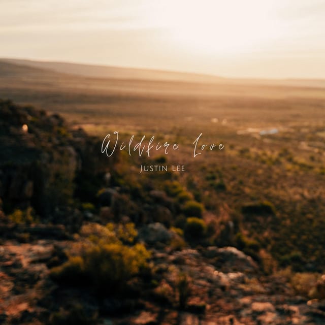 Wildfire Love - Single